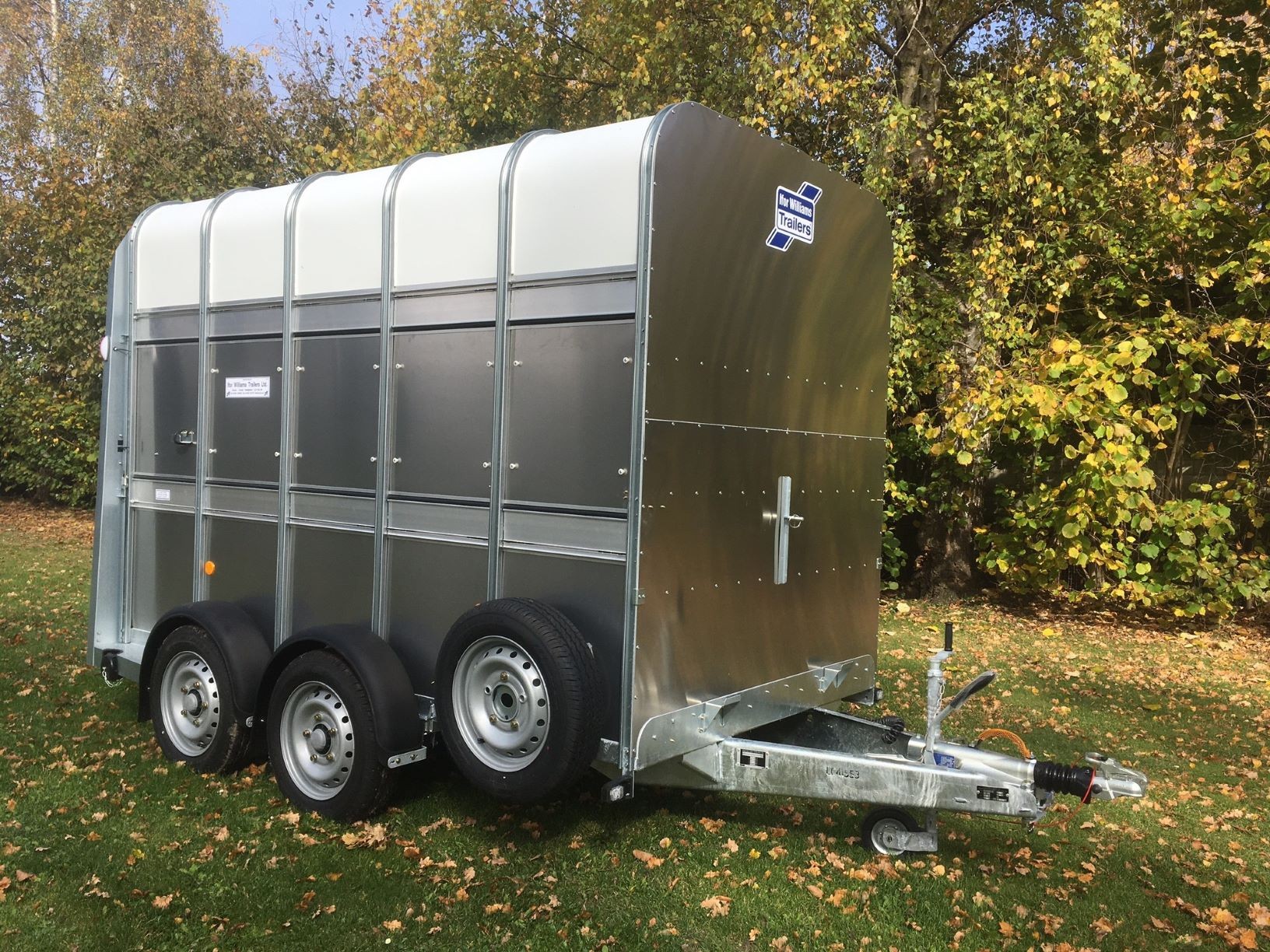 Ifor Williams TA510G10 Doppelstock